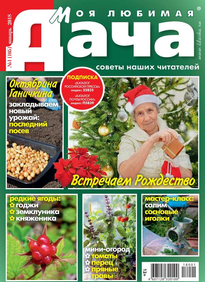 Моя Любимая Дача