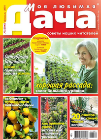 Моя Любимая Дача