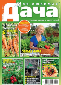 Моя Любимая Дача