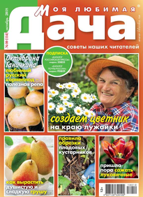 Моя Любимая Дача