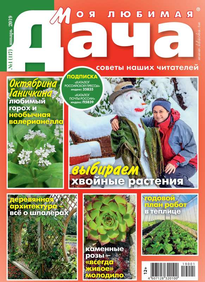 Моя Любимая Дача