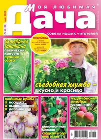 Моя Любимая Дача