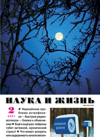 Наука и Жизнь