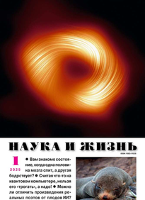 Наука и Жизнь