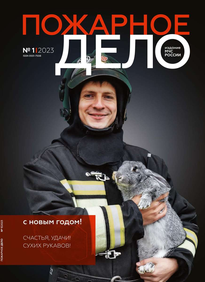 Пожарное Дело