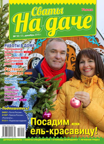 Сваты на Даче