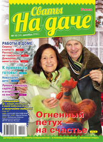 Сваты на Даче