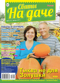 Сваты на Даче