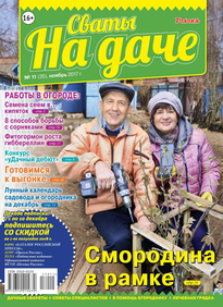 Сваты на Даче