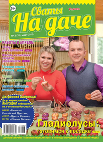 Сваты на Даче