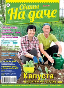 Сваты на Даче