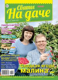 Сваты на Даче