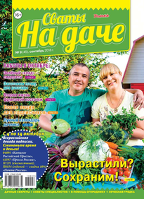 Сваты на Даче