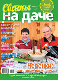 Сваты на Даче