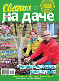 Сваты на Даче