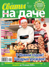 Сваты на Даче