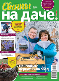 Сваты на Даче