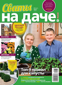 Сваты на Даче