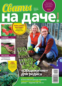 Сваты на Даче