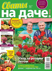 Сваты на Даче