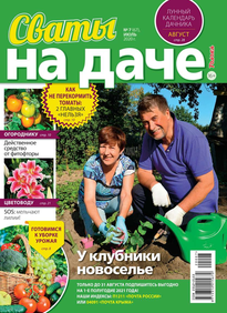 Сваты на Даче