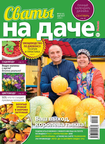 Сваты на Даче