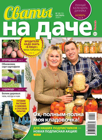 Сваты на Даче