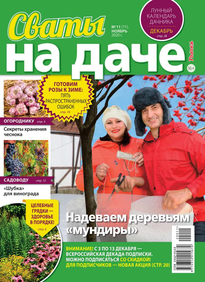 Сваты на Даче