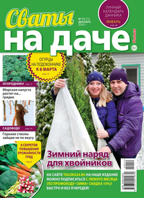 Сваты на Даче