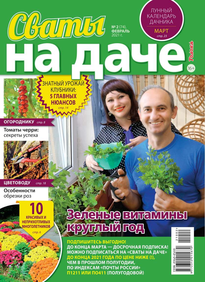 Сваты на Даче