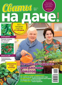 Сваты на Даче