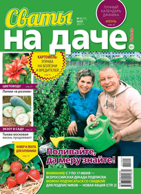 Сваты на Даче