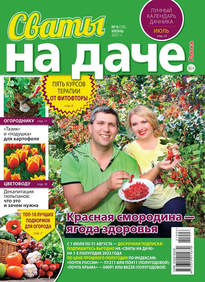 Сваты на Даче