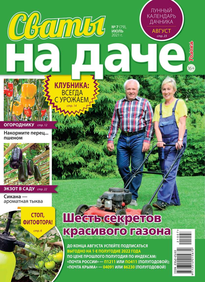 Сваты на Даче