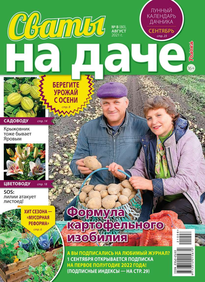 Сваты на Даче