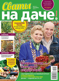 Сваты на Даче