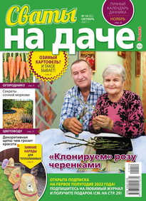 Сваты на Даче