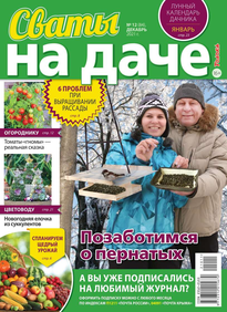 Сваты на Даче