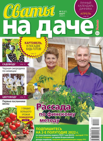 Сваты на Даче