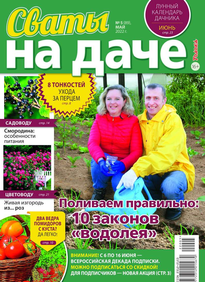 Сваты на Даче