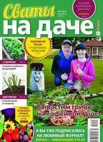 Сваты на Даче