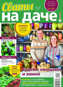 Сваты на Даче