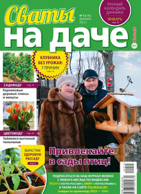 Сваты на Даче