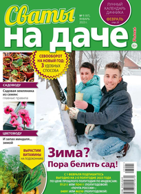 Сваты на Даче