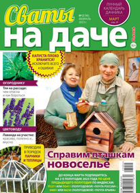 Сваты на Даче