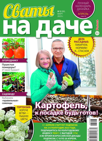 Сваты на Даче