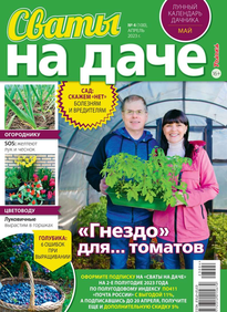 Сваты на Даче