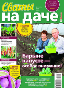 Сваты на Даче