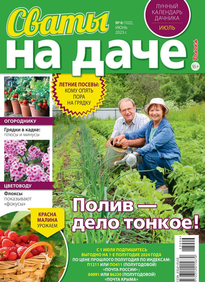 Сваты на Даче