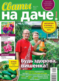 Сваты на Даче